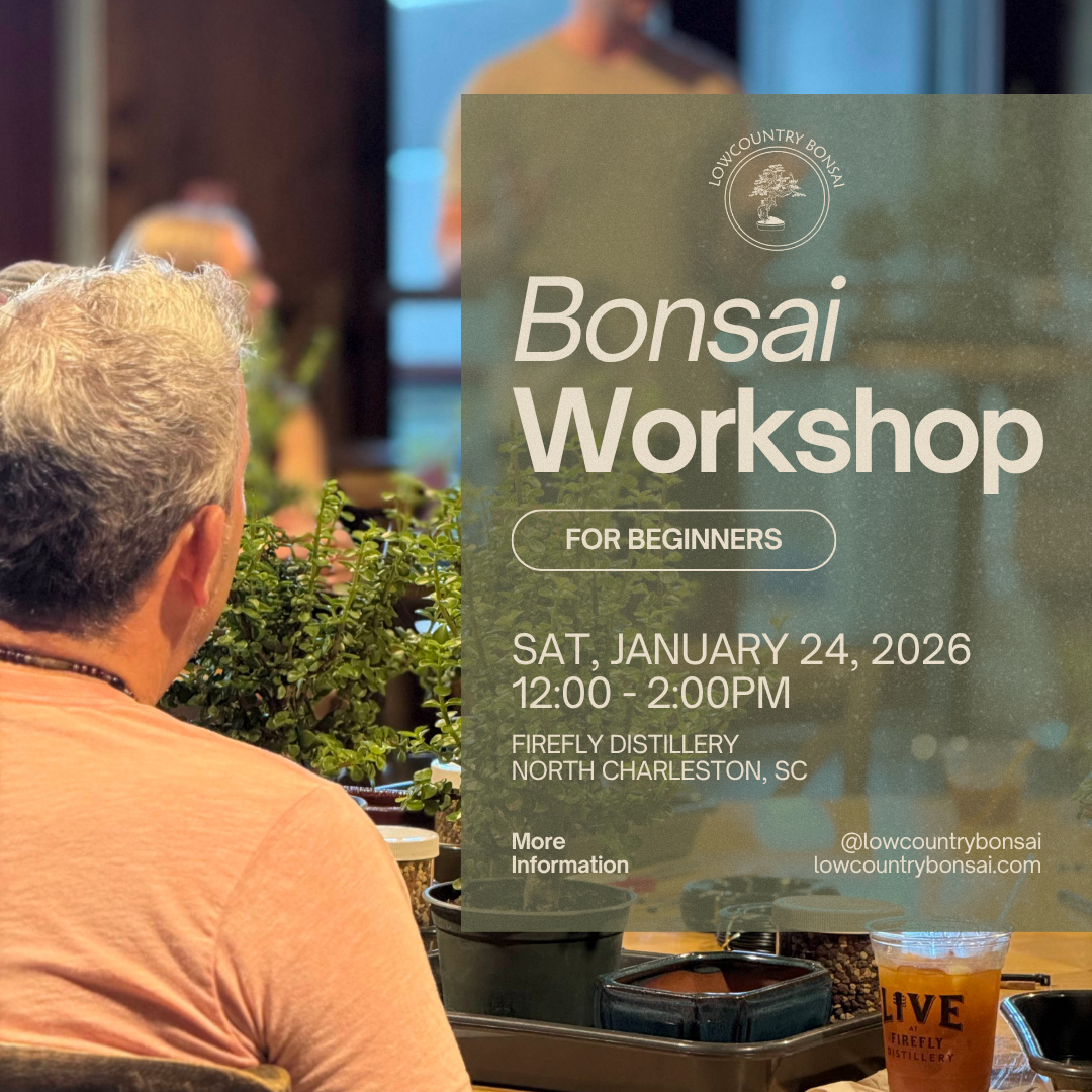 Beginner Bonsai Workshop - Firefly Distillery - January 24, 2026