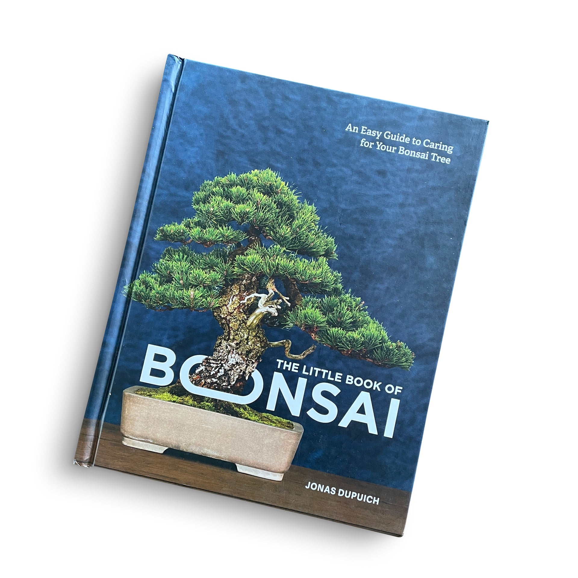 The Little Book of Bonsai An Easy Guide to Caring for Your Bonsai Tree